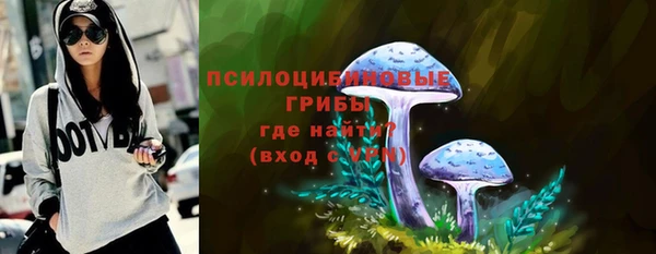 прущие крисы Сясьстрой