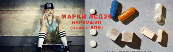 mdpv Тайга