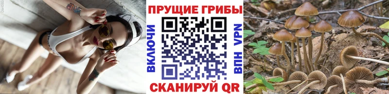 Купить закладки  Уфа  Псилоцибиновые грибы мицелий 